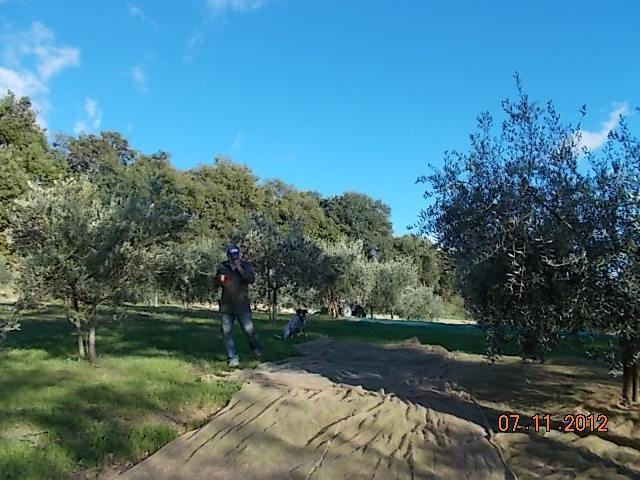 Agriturismo Le Vergare Offagna Exteriör bild