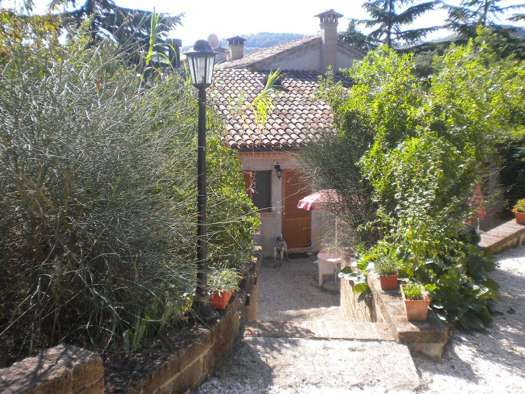 Agriturismo Le Vergare Offagna Exteriör bild