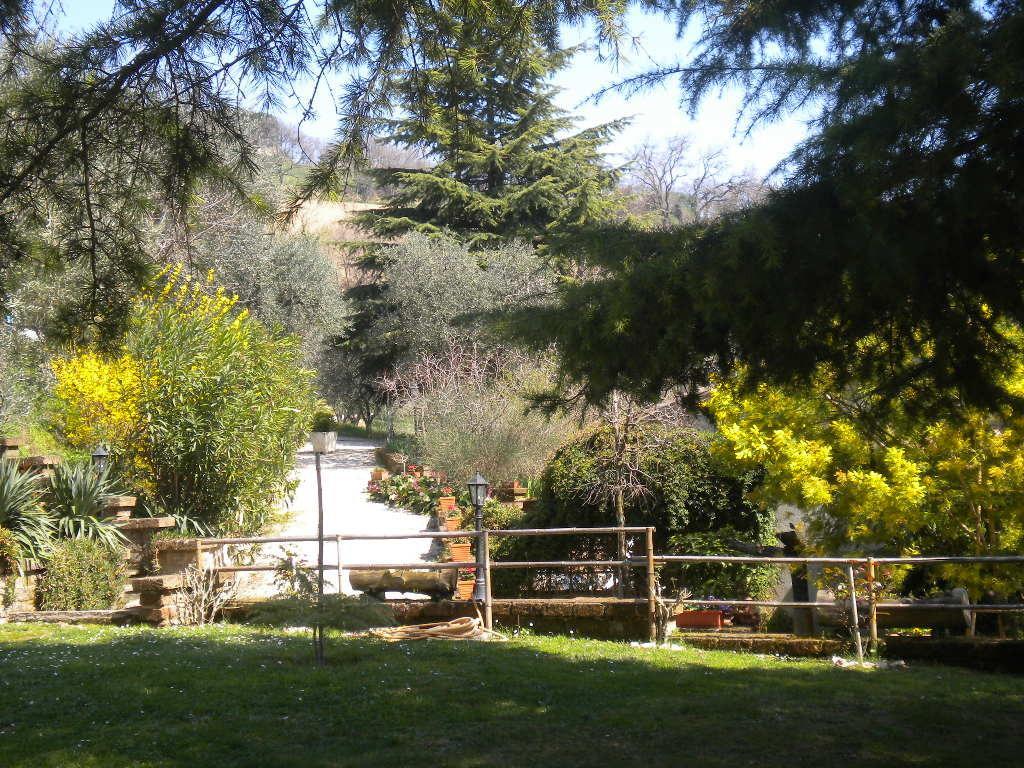 Agriturismo Le Vergare Offagna Exteriör bild