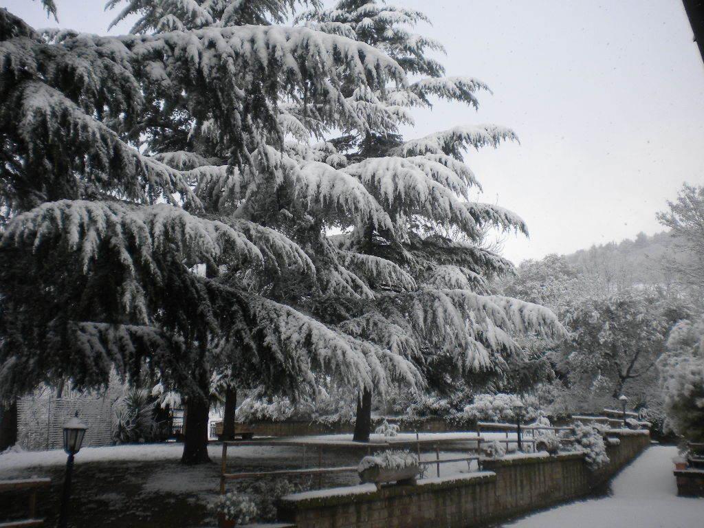 Agriturismo Le Vergare Offagna Exteriör bild